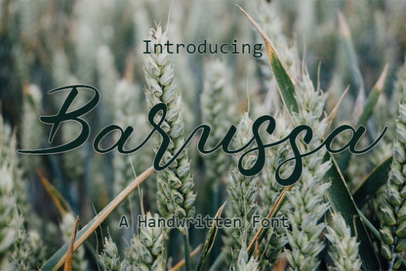 Barussa Font Review