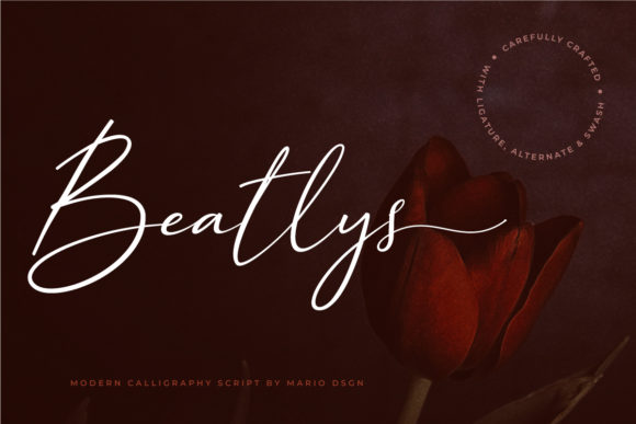 Beatlys: A Modern Script Font for Web Design
