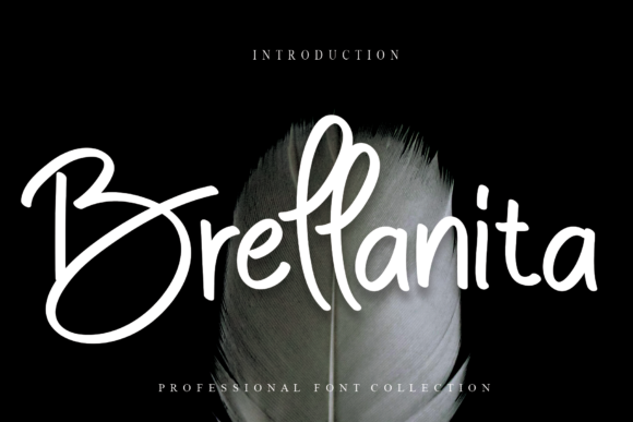 Brellanita: A Beautiful Handwritten Font