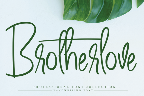 Brotherlove Font: Elegant Script for Editorial Design