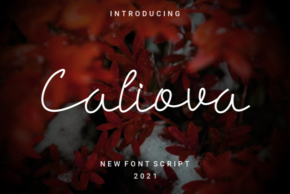 Caliova: A Delicate Script for Business Branding